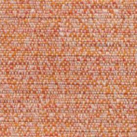 Celsius Anabas 053 Sun Kissed